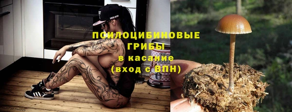 mdma Лагань