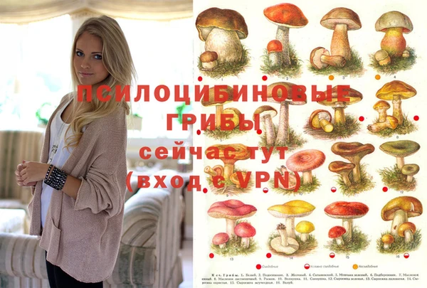 Альфа ПВП Беломорск